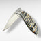 Kershaw 1600 w/ Mammoth Tooth