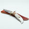 Eagle Antler Knife