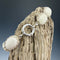 Oval Crown Bracelet