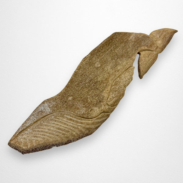 Whale Wall Hanger