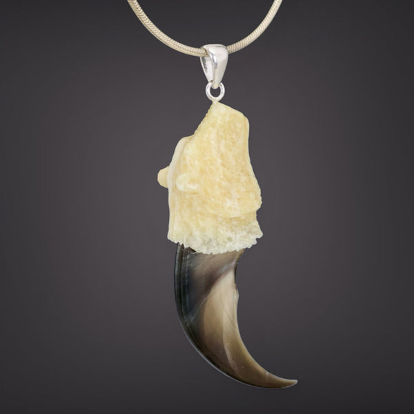 Bear Claw - Bear Pendant