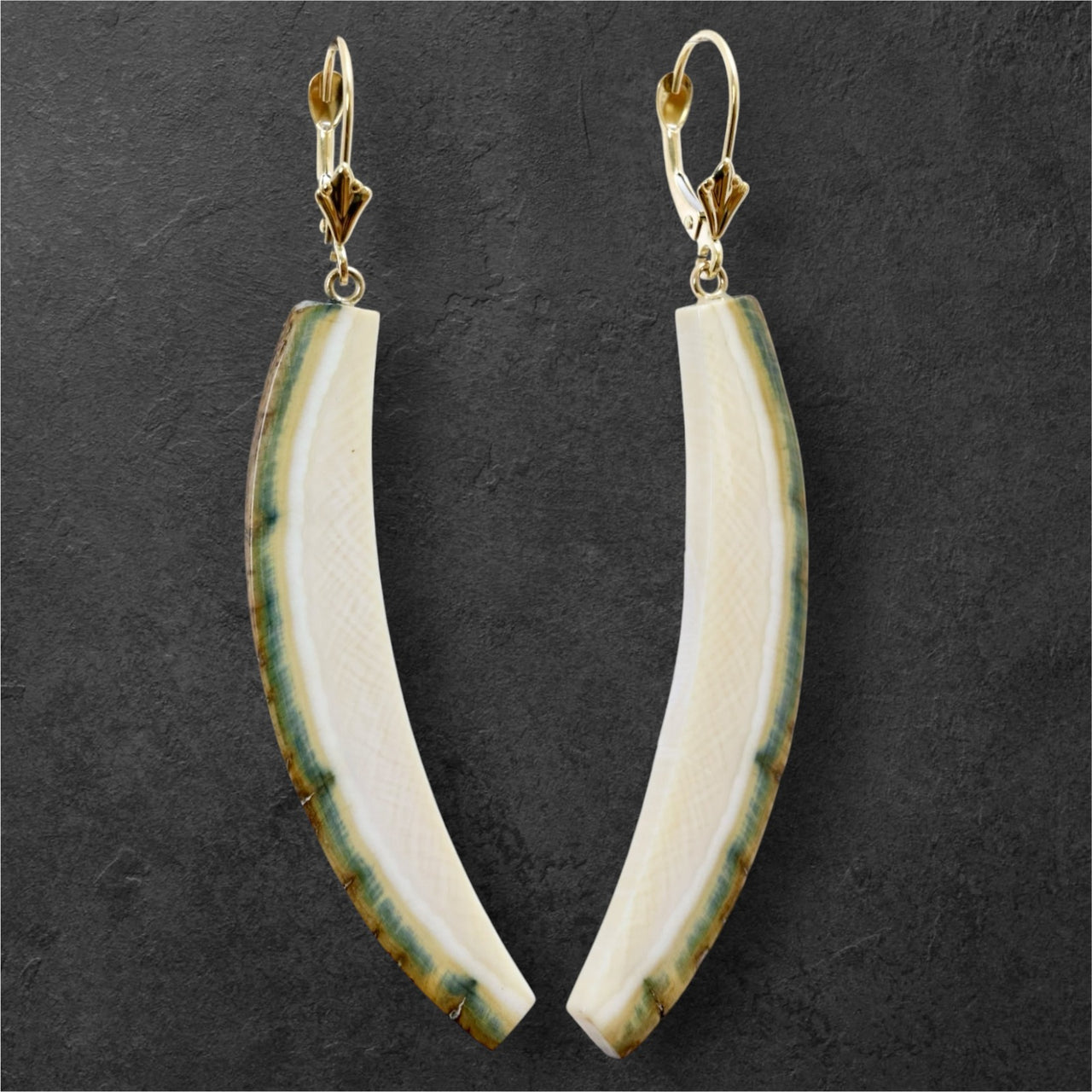 Mammoth Ivory & Gold Earrings