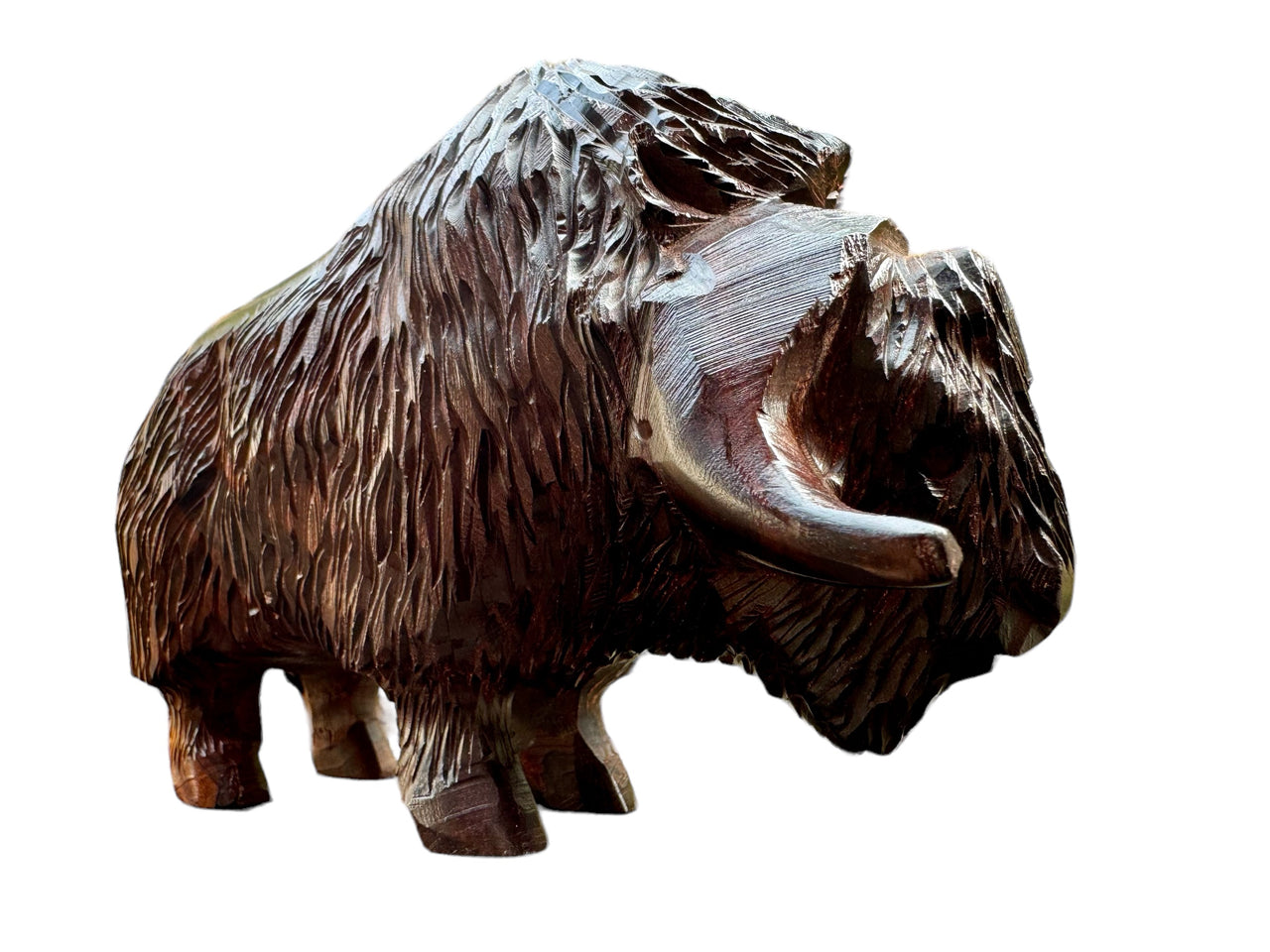 Musk Ox