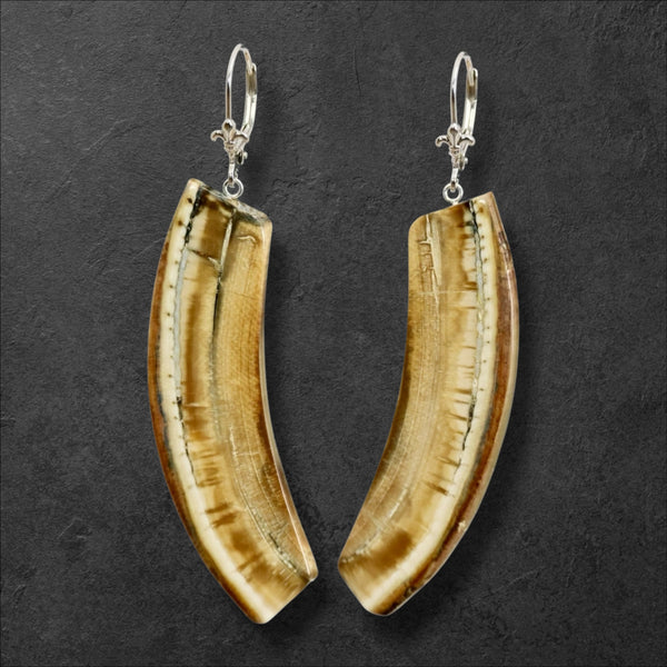 Mammoth Ivory Earrings