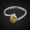 Oval Silver & Gold Ring