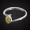 Oval Silver & Gold Ring