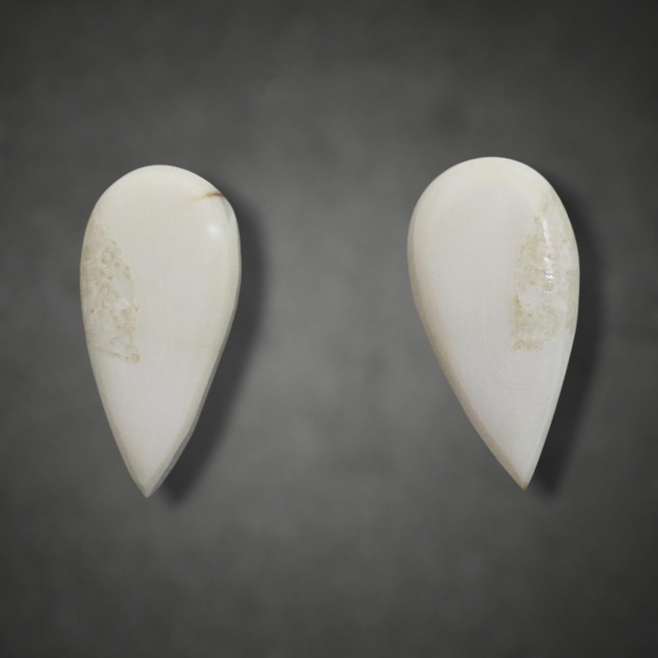 Walrus Ivory Teardrop Post Earrings