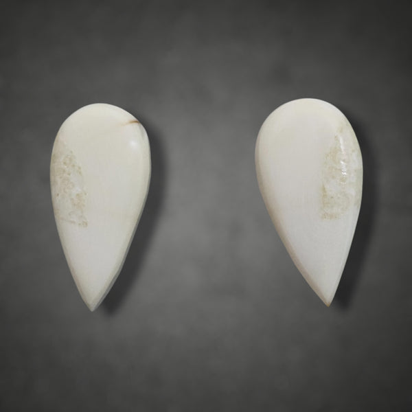 Walrus Ivory Teardrop Post Earrings