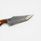 The Honey Badger Tanto