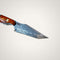 The Honey Badger Tanto