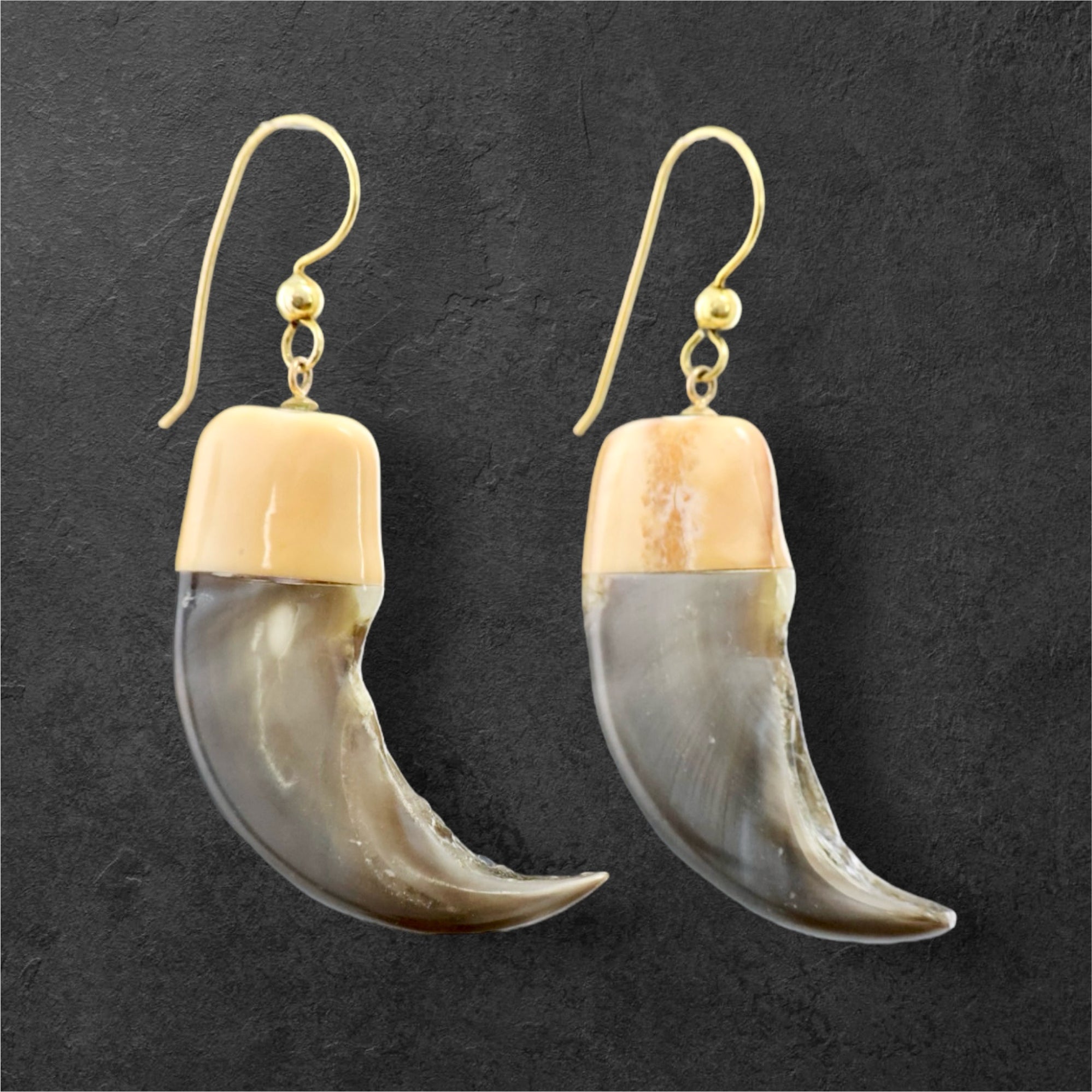 Fossil Walrus Ivory Jewelry – Fish Creek Company