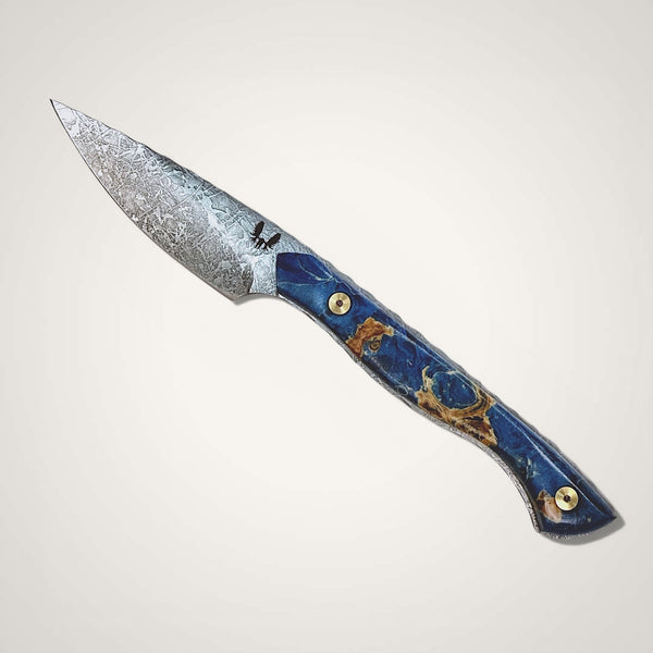 The Precision Paring Knife