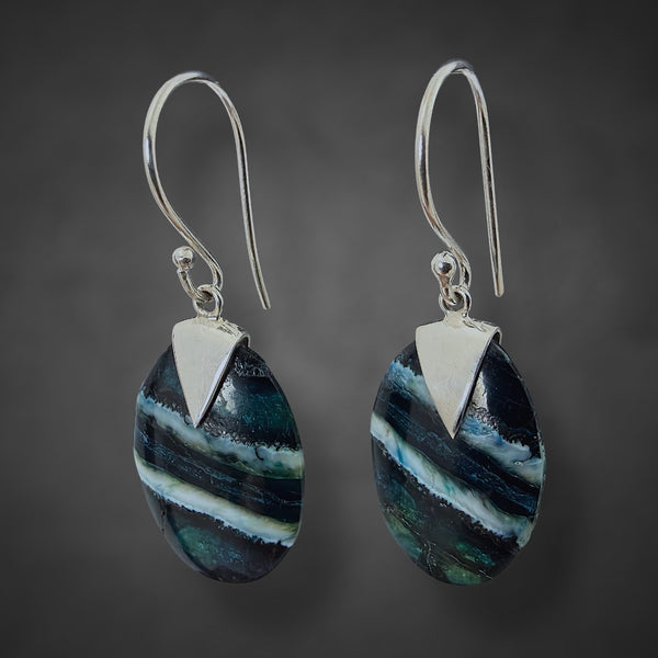 Mammoth Tooth Small Oval Earrings