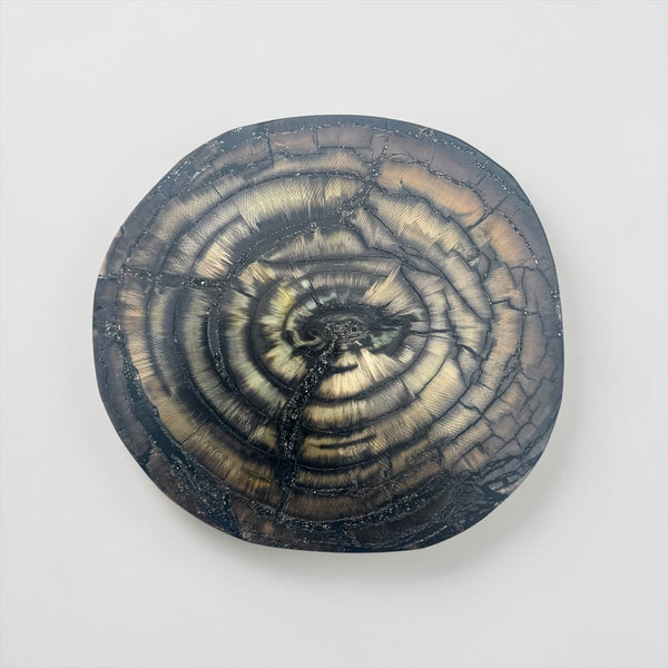 Mammoth Ivory Slice