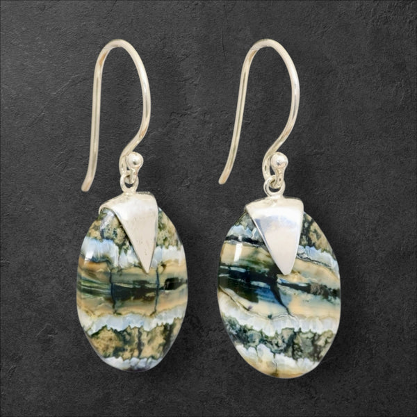 Mammoth Tooth Small Oval Earrings