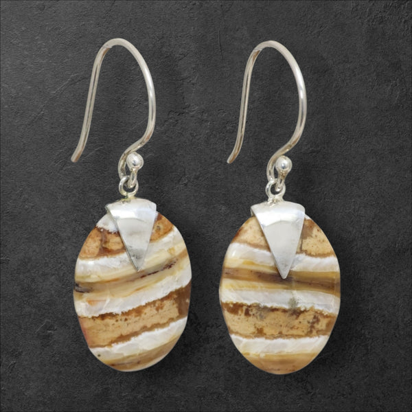 Mammoth Tooth Small Oval Earrings