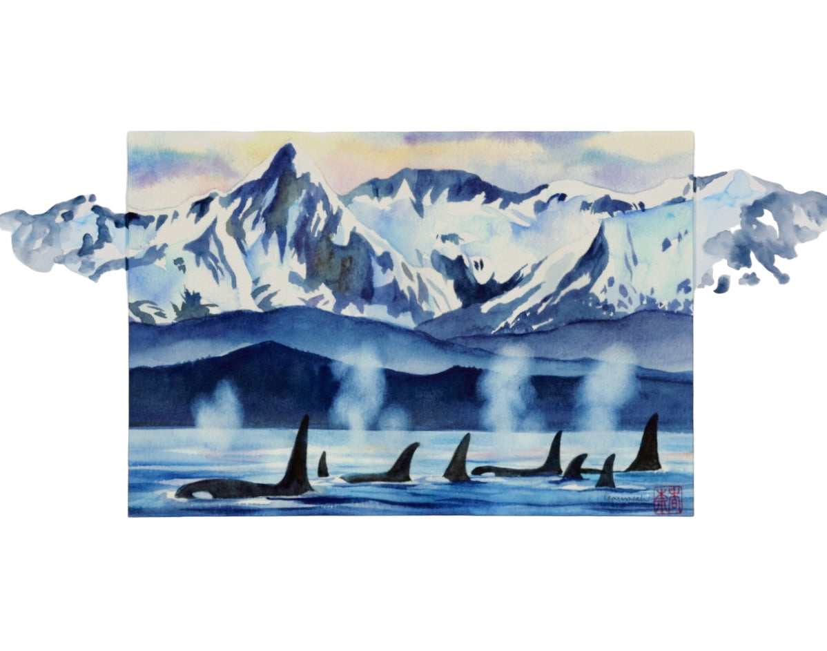 Orca Pod Fish Creek Company Orca Pod Fish Creek Company