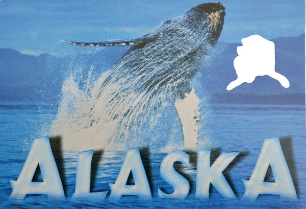 Humpback Alaska Postcard