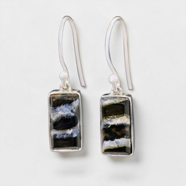 Mammoth Tooth Earrings