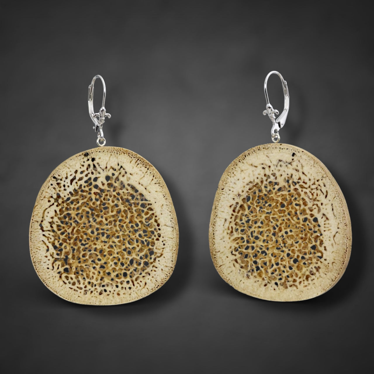 Oosik Earrings