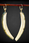 Ivory Earrings