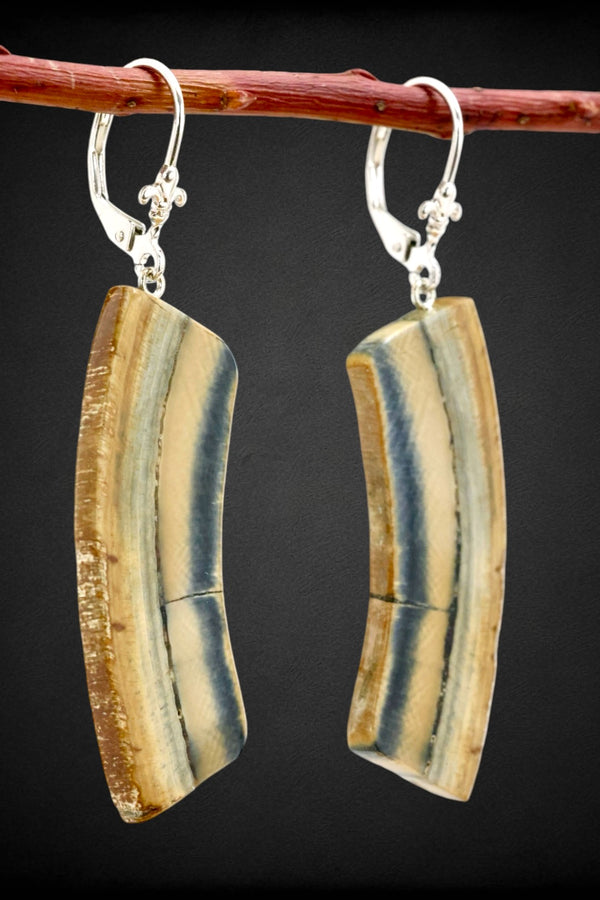 Mammoth Ivory Earrings