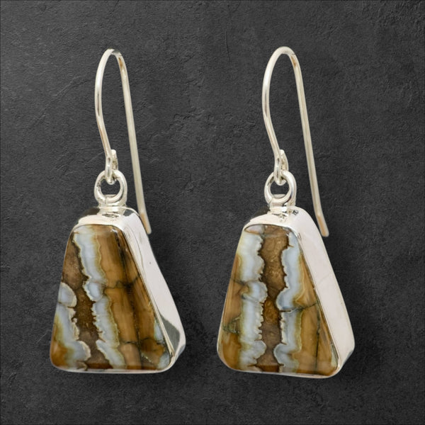 Mammoth Tooth Earrings