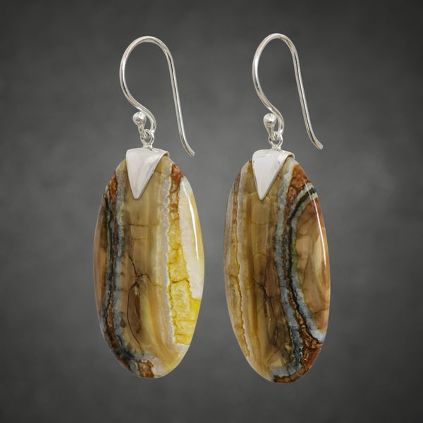 Mammoth Tooth XL Oval Earrings