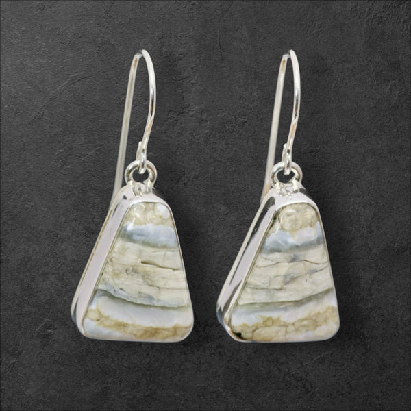 Mammoth Tooth Earrings