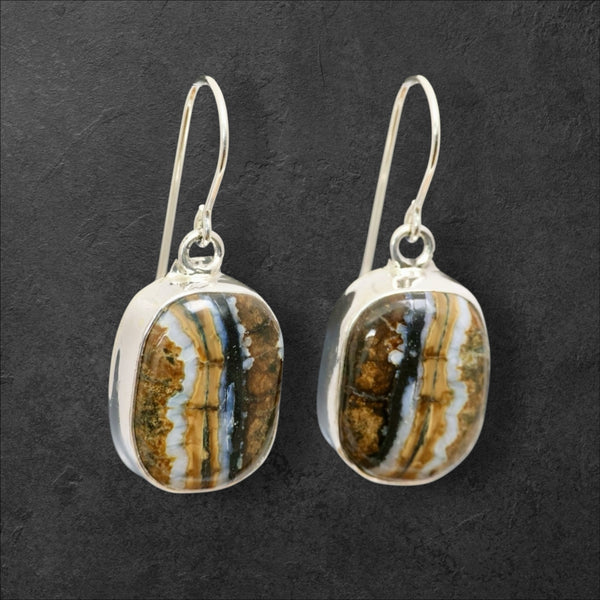 Mammoth Tooth Earrings
