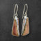 Mammoth Tooth Earrings