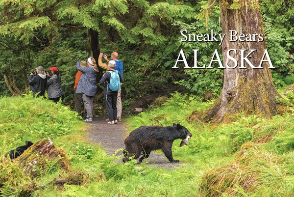 Sneaky Bears Postcard