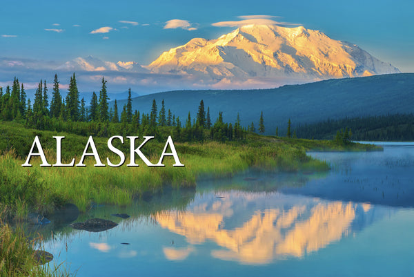 Denali Alaska Postcard