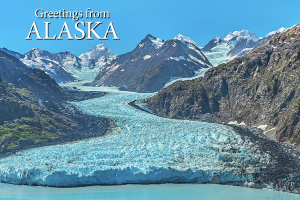 Glacier Greetings Postcard