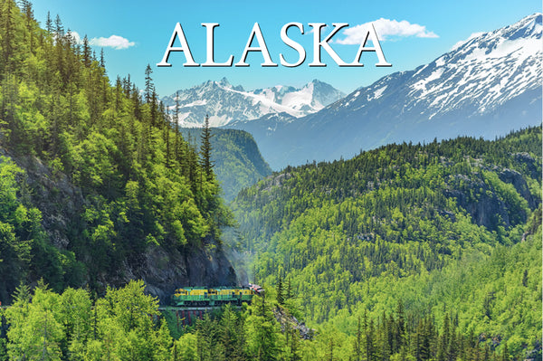 Skagway Train Postcard
