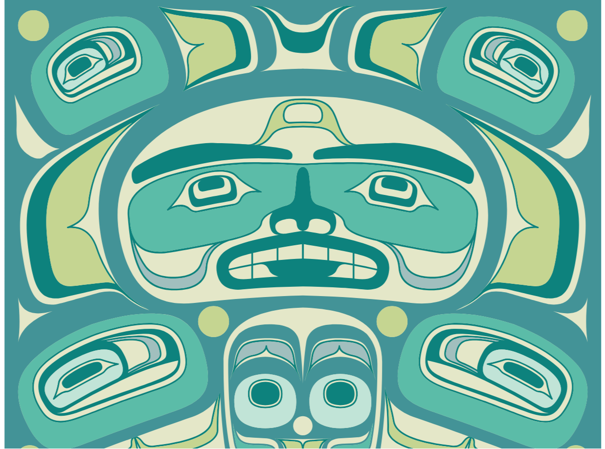 Ultra Fleece Trasure Box Blanket