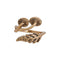 Bronze Mushroom and Fern Bypass Ring