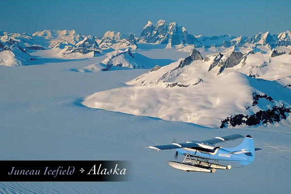 Juneau Icefield Postcard