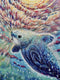The Selkie Puzzle
