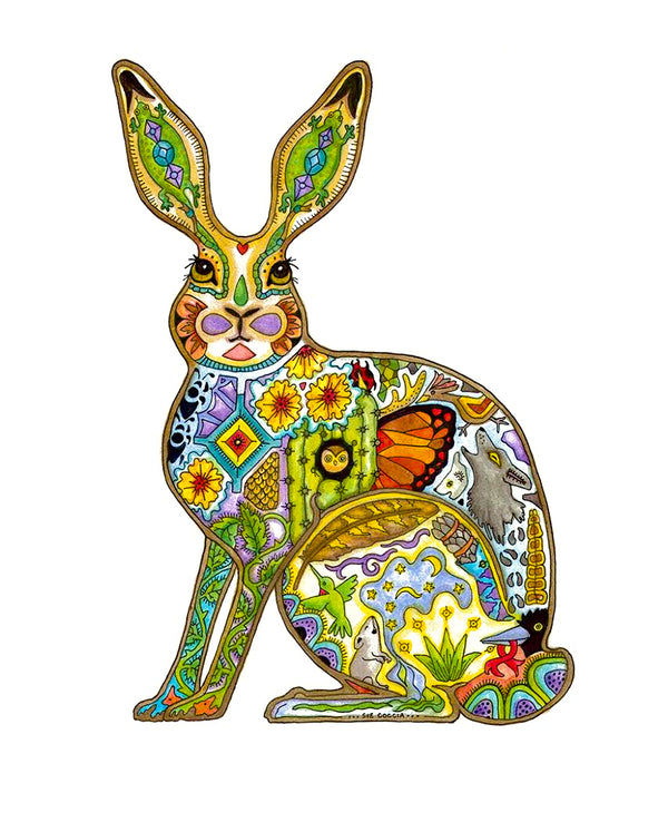 Jack Rabbit by Sue Coccia
