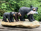 Black Bear with Cubs and Salmon