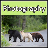 Alaska Photography by Hamilton Gelhar