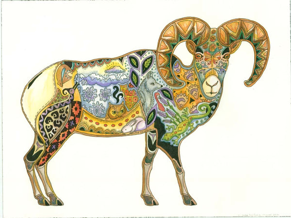 Big Horn Sheep by Sue Coccia