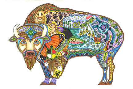 Bison by Sue Coccia