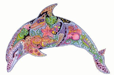 Dolphin by Sue Coccia