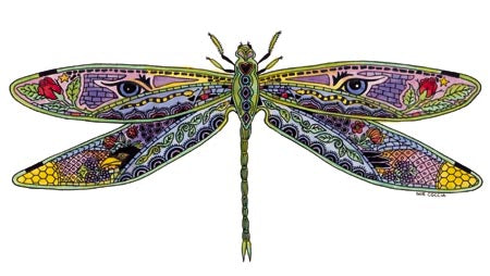 Dragonfly by Sue Coccia
