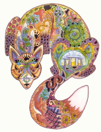 Fox Sue Coccia Art