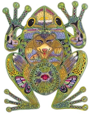 Frog by Sue Coccia