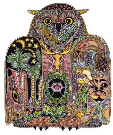 Owl by Sue Coccia