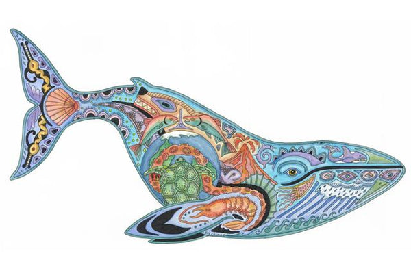 Blue Whale by Sue Coccia